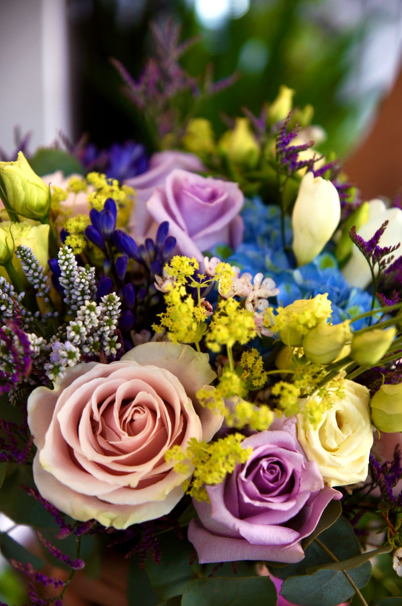 Tropicalia Atelier — Aura