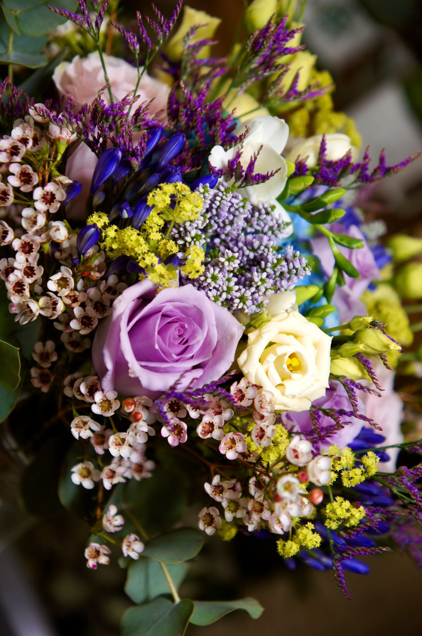 Tropicalia Atelier — Aura