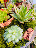 Planta 2