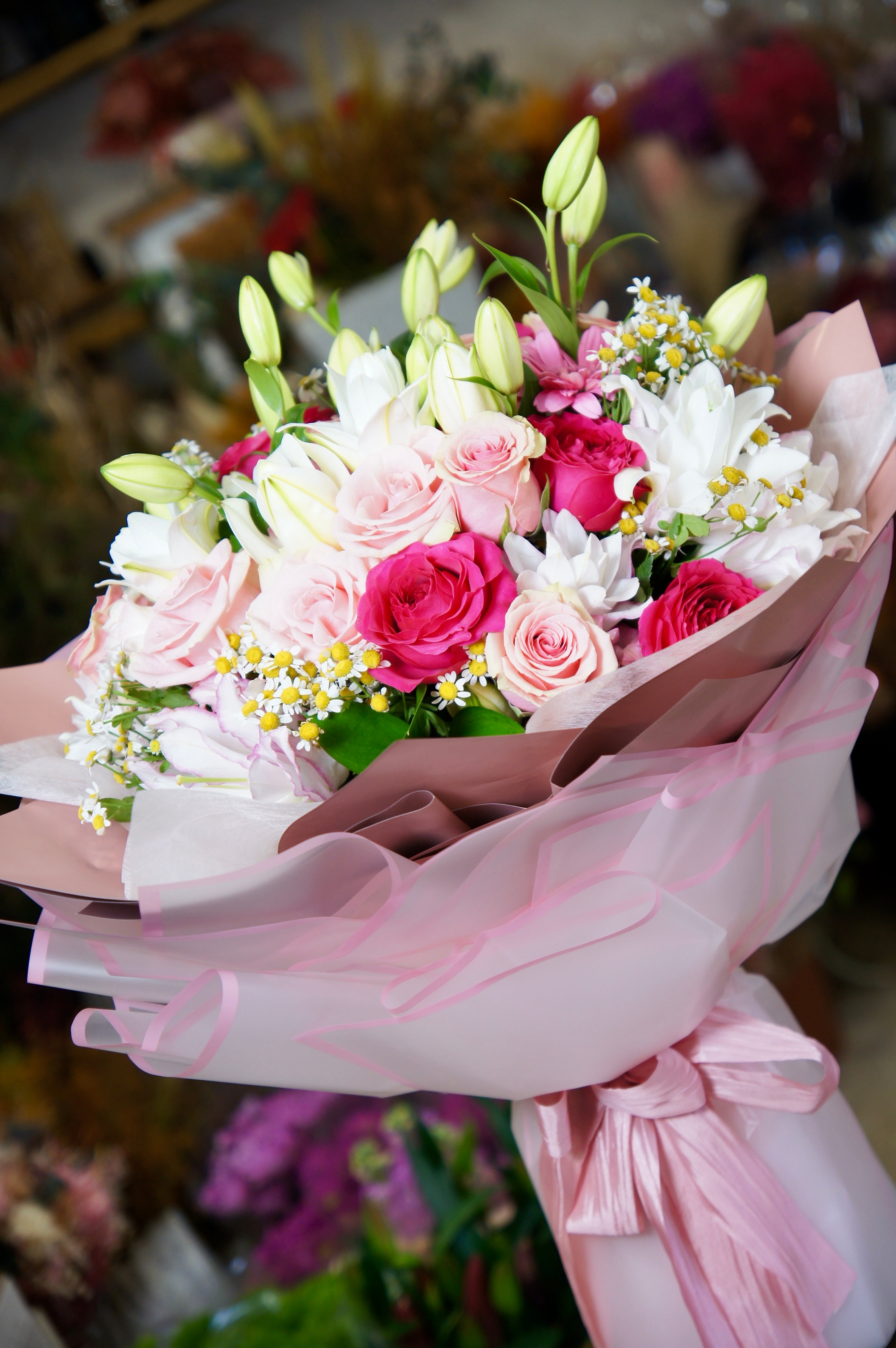 Tropicalia Atelier — Eterno