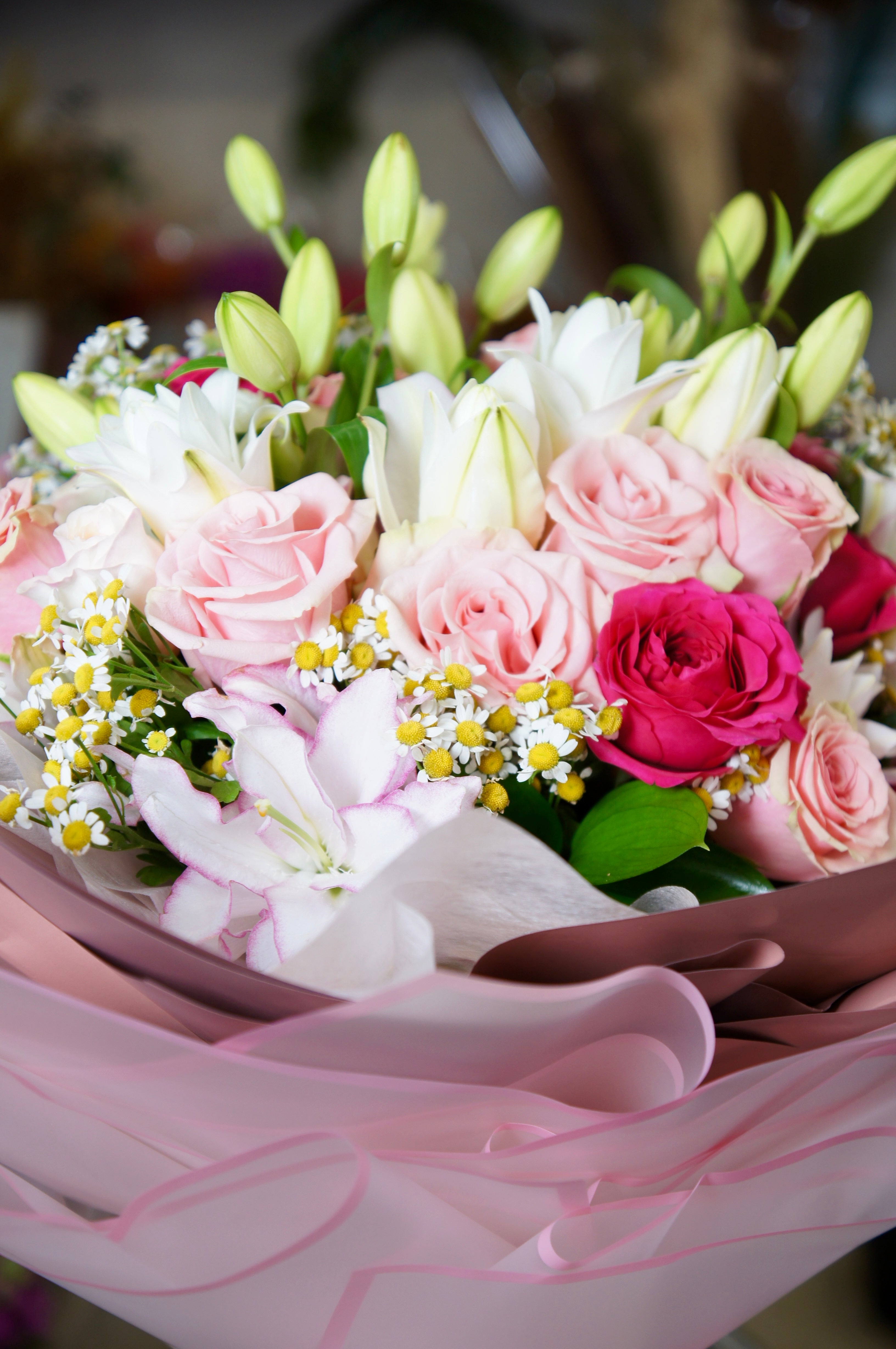 Tropicalia Atelier — Eterno