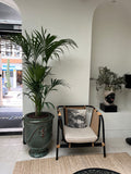 Planta 3