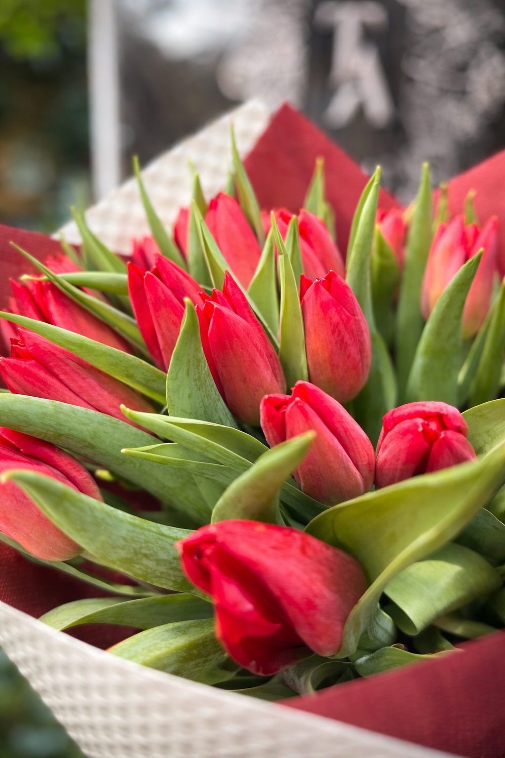 Tropicalia Atelier — Rouge