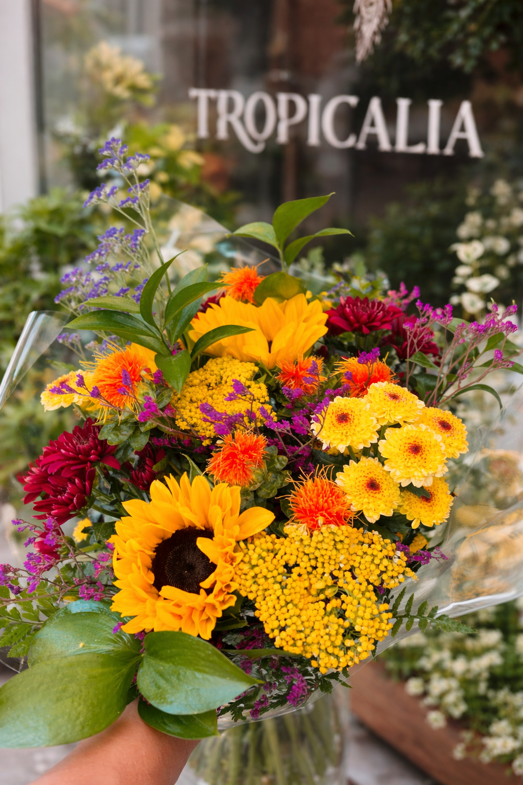 Tropicalia Atelier — Solara