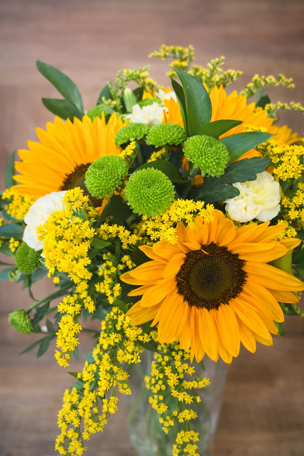 Tropicalia Atelier — Solara