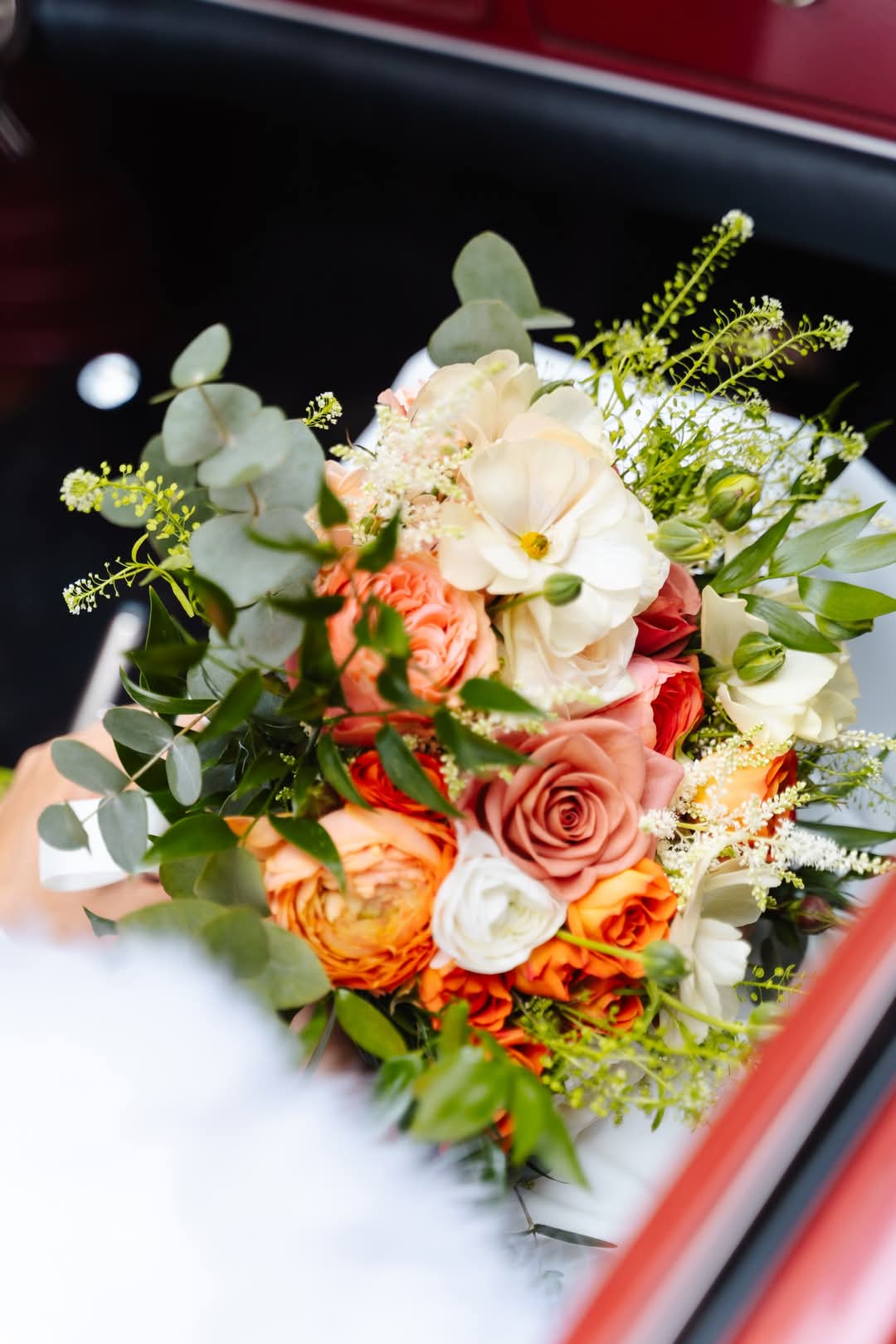 Tropicalia Atelier — Soléa