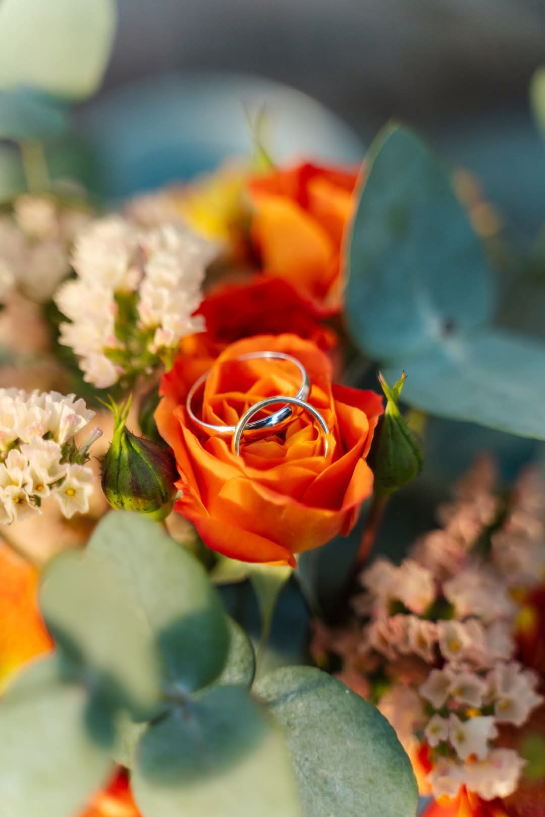 Tropicalia Atelier — Soléa