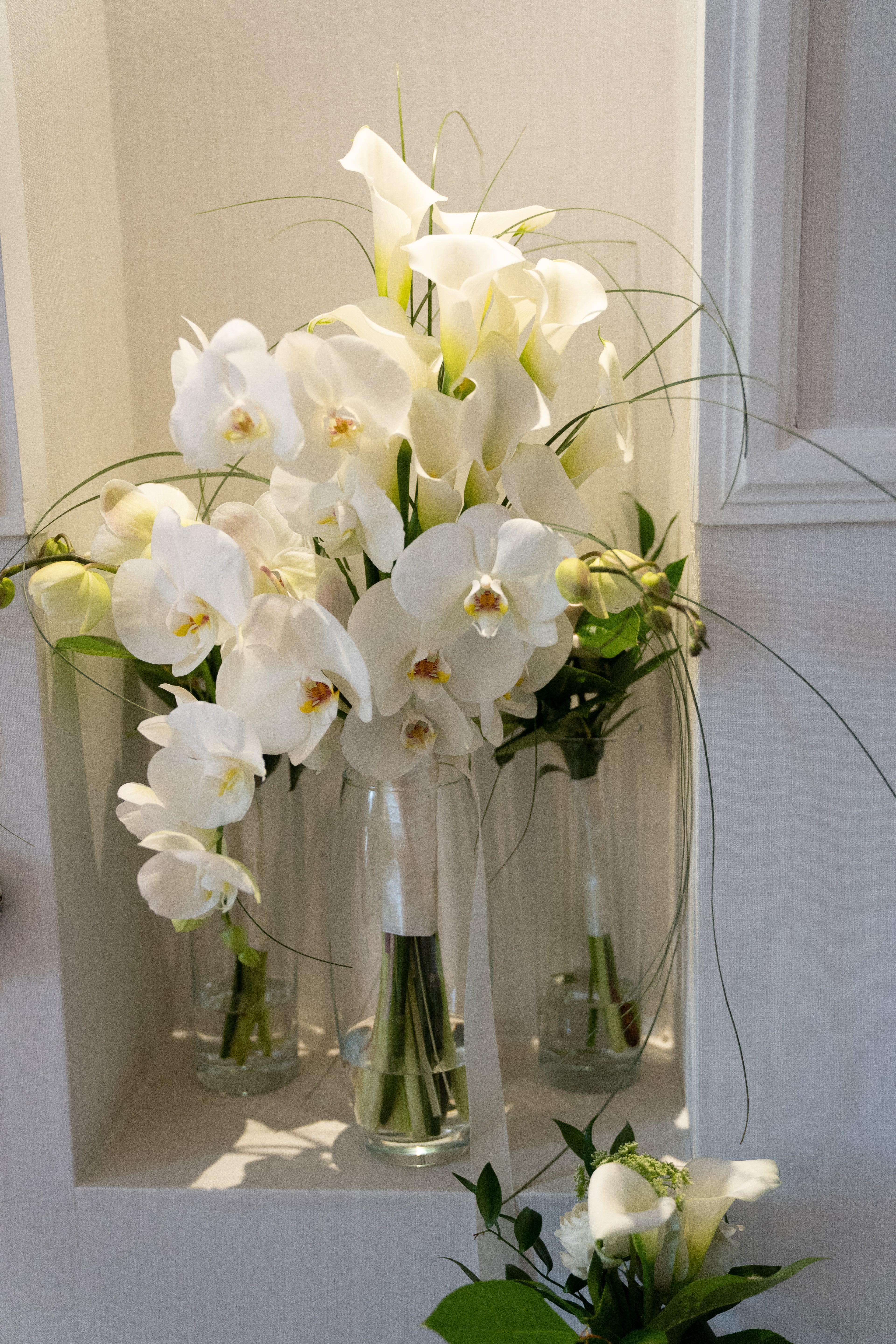 Tropicalia Atelier — Alba