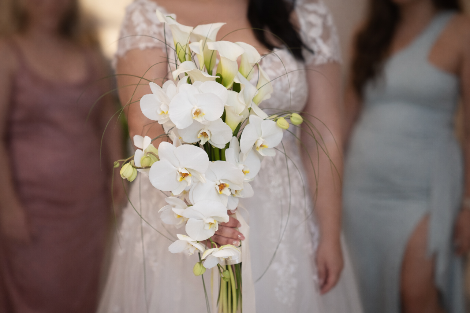 Tropicalia Atelier — Alba