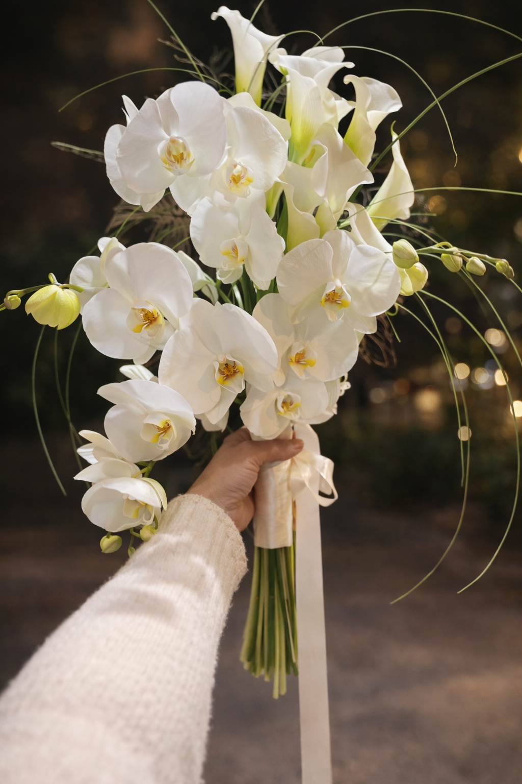 Tropicalia Atelier — Alba