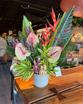 Tropicalia Atelier — Kalea