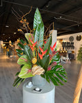 Tropicalia Atelier — Loa