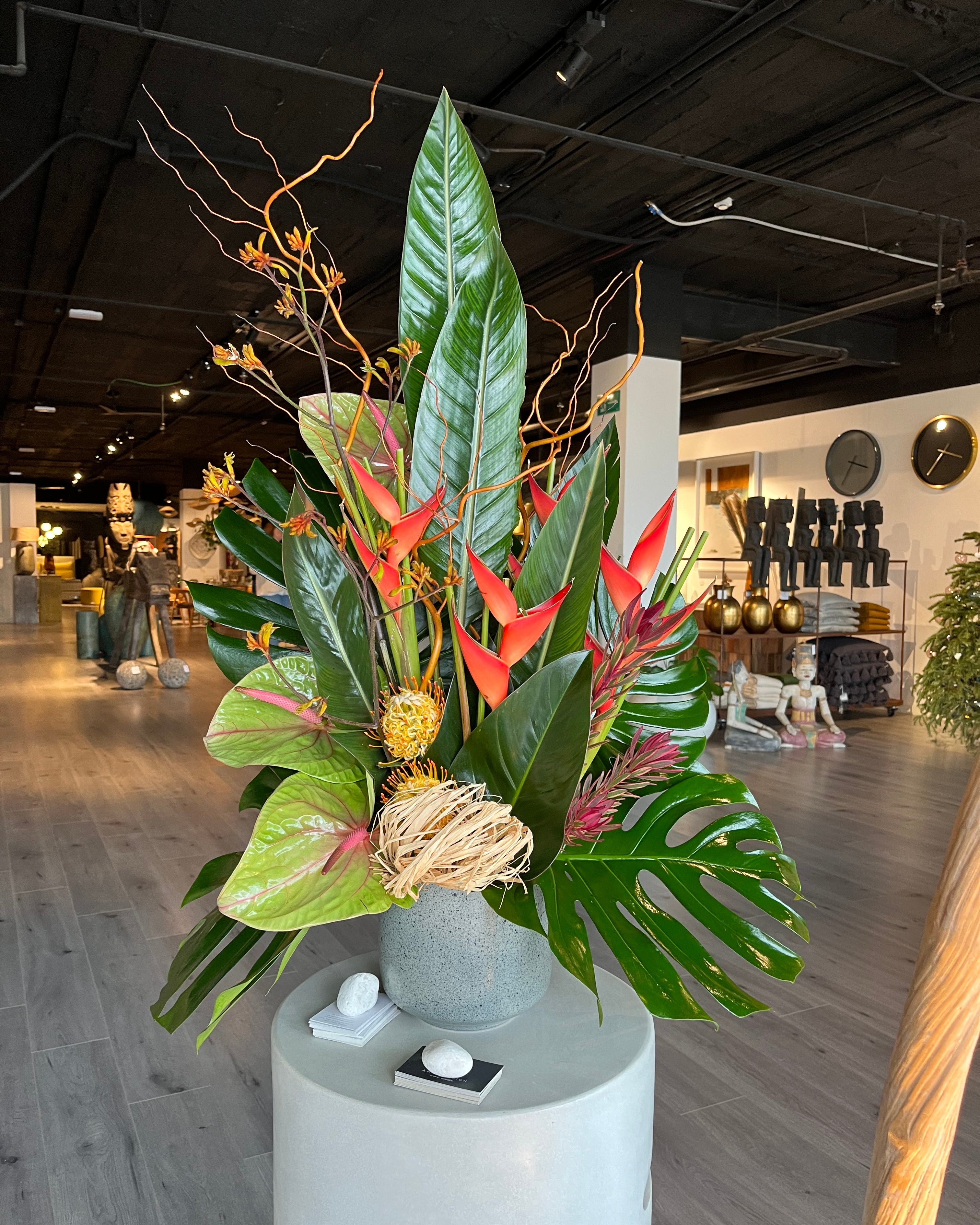 Tropicalia Atelier — Loa