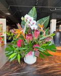 Tropicalia Atelier — Moana
