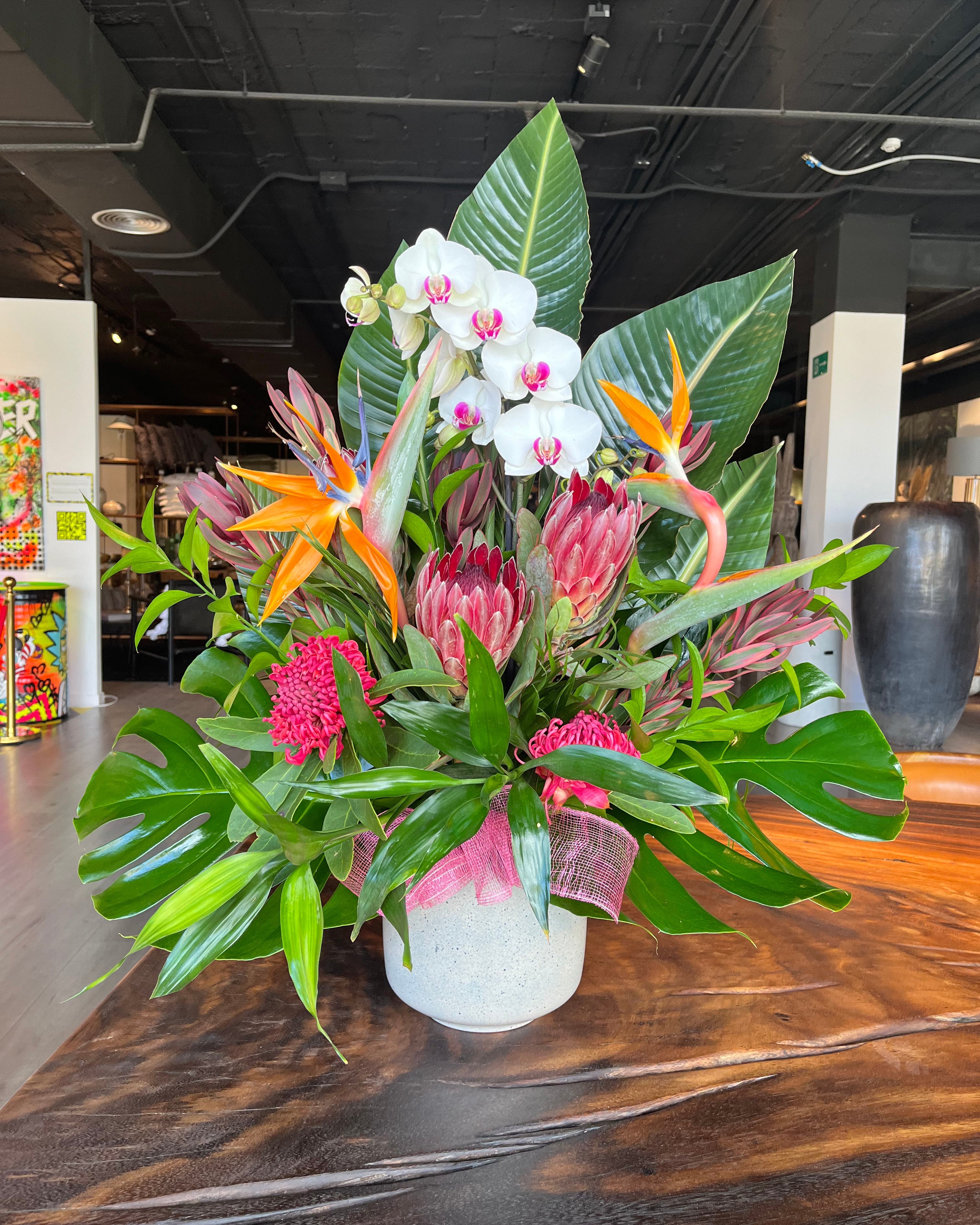 Tropicalia Atelier — Moana