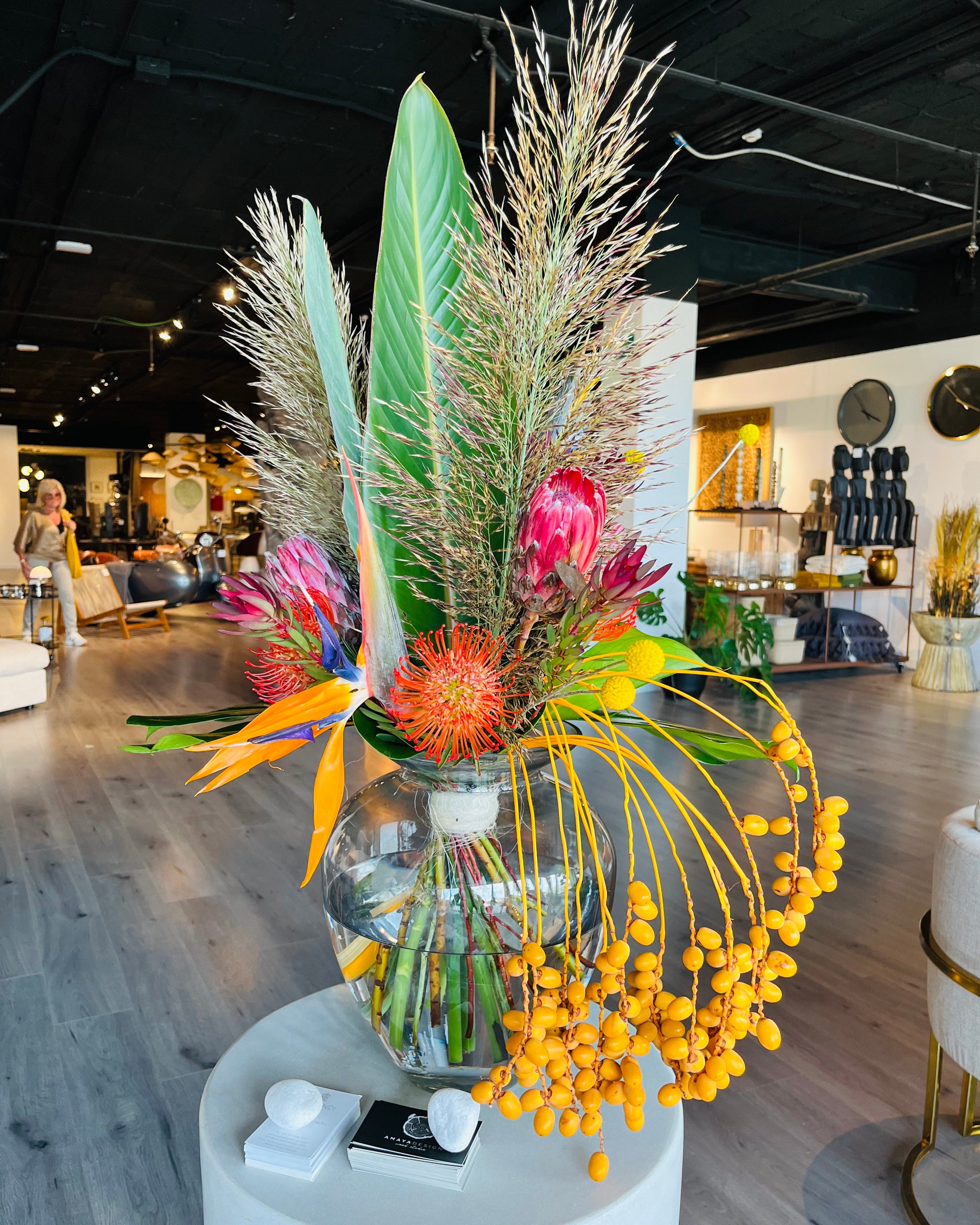 Tropicalia Atelier — Solaris