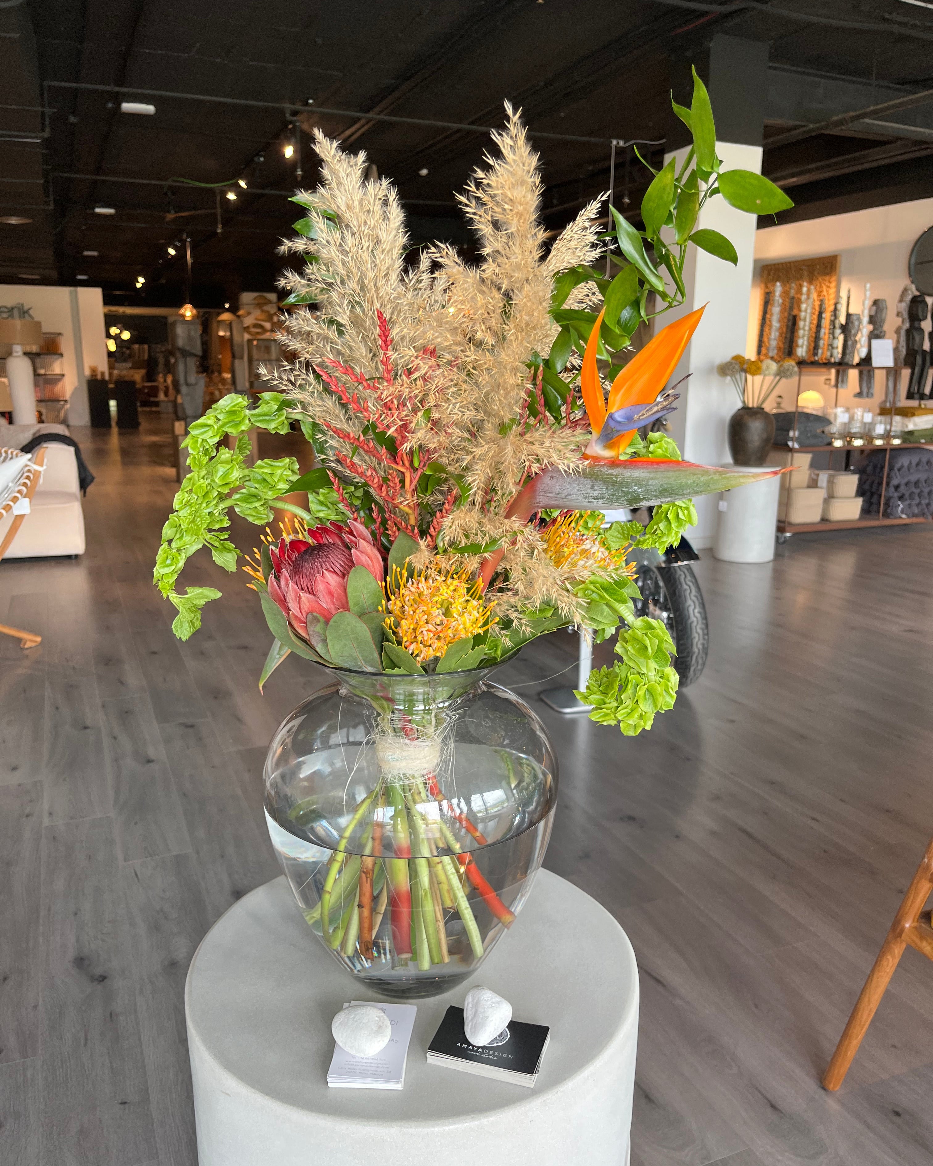 Tropicalia Atelier — Sahara
